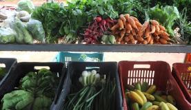 Alimentos voltam a subir com menos intensidade e ajudam a conter inflação